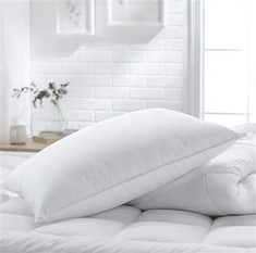 Hotel High Qualtiy White Goose Down Pillow